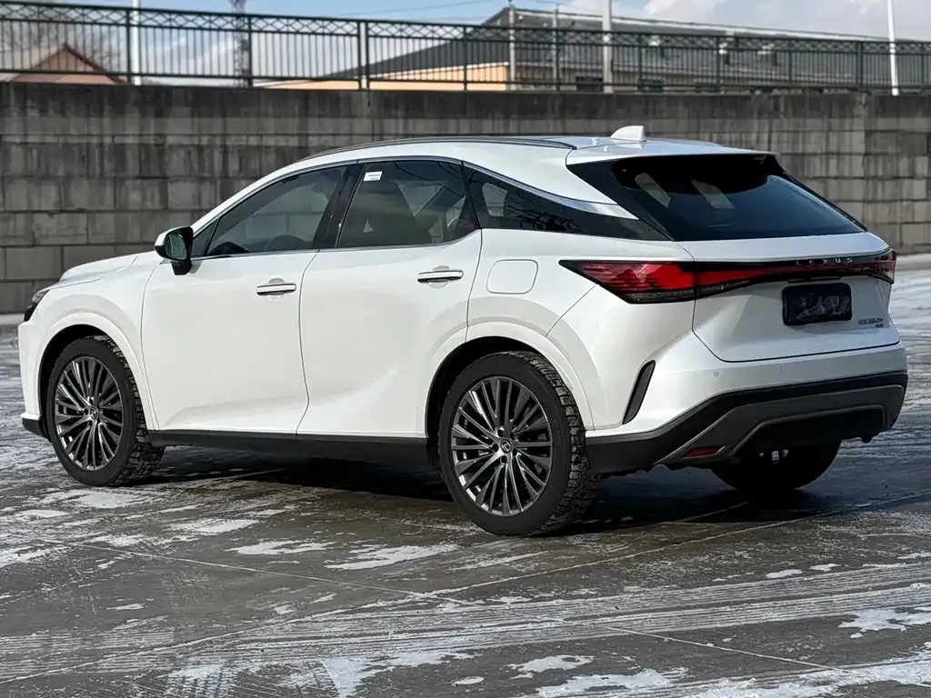 Lexus RX 2023 из CN, фото 7