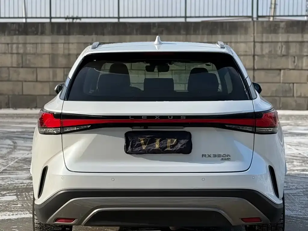 Lexus RX 2023 из CN, фото 3
