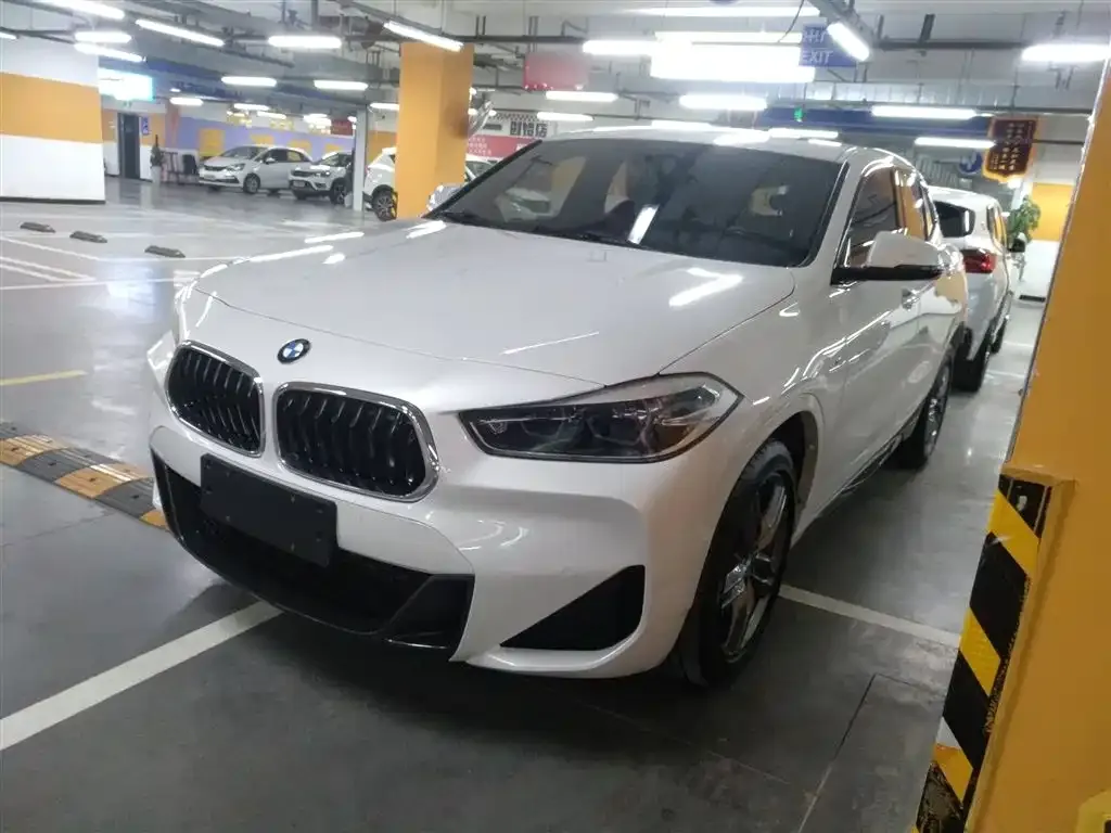 BMW X2 2021 из CN, фото 9
