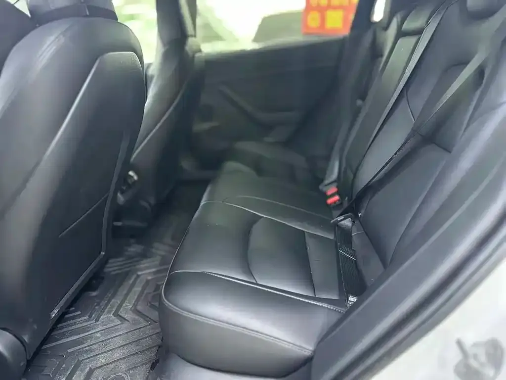 Tesla Model 3 2023 из CN, фото 2