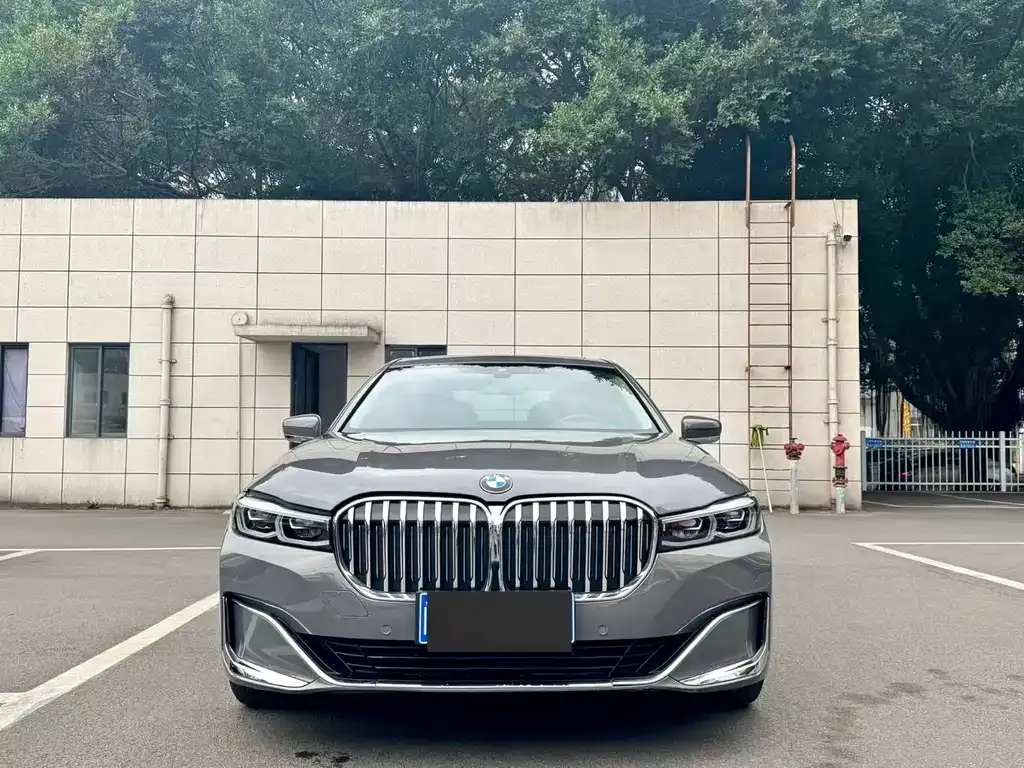 BMW 7 Series 2022 из CN, фото 7