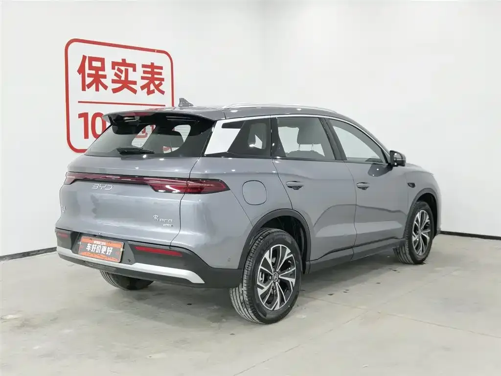 BYD Pro New Energy 2025 из CN, фото 6