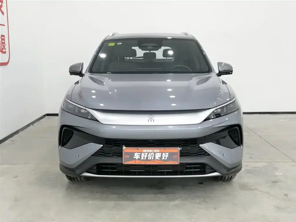 BYD Pro New Energy 2025 из CN, фото 2