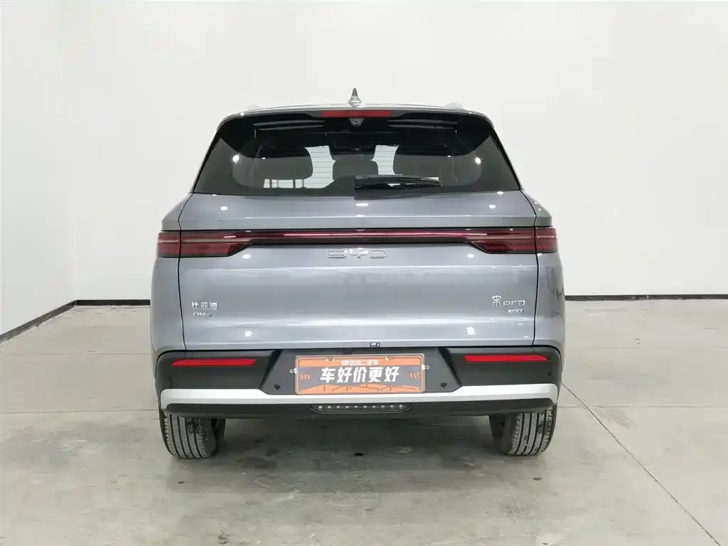 BYD Pro New Energy 2025 из CN, фото 3