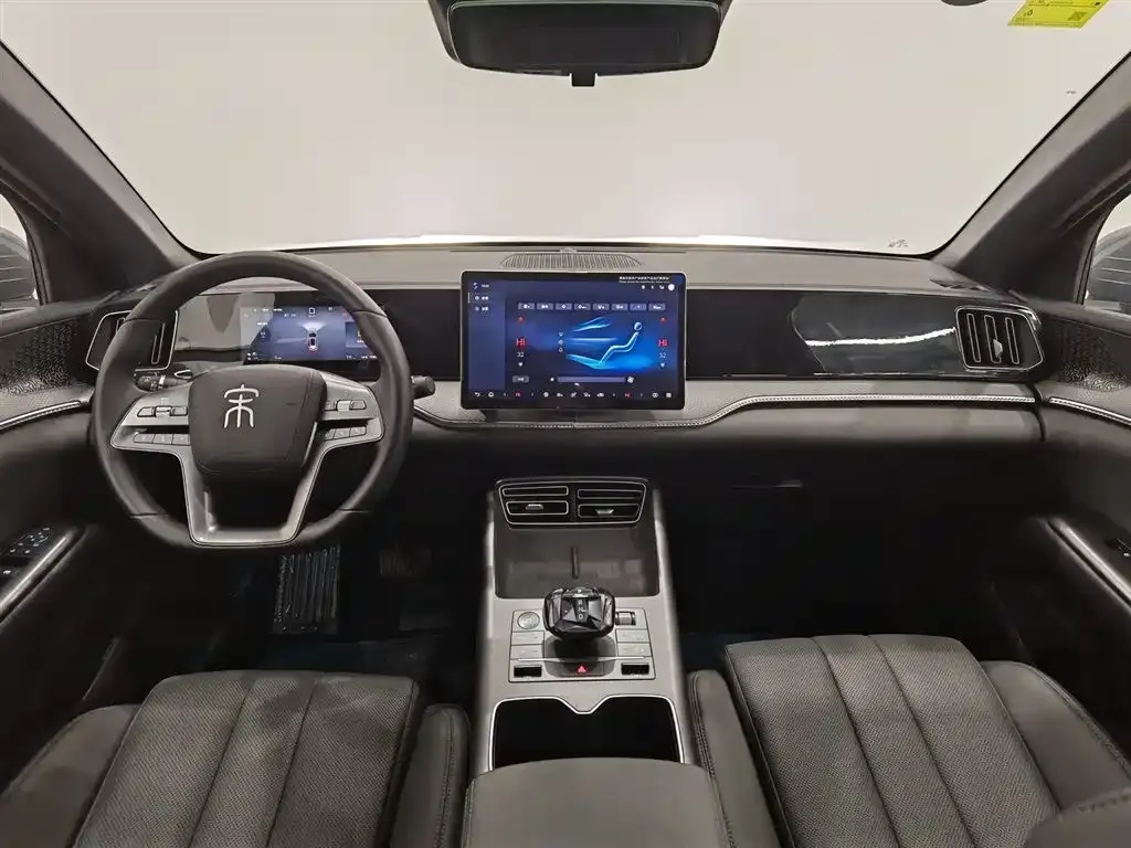 BYD Pro New Energy 2025 из CN, фото 7