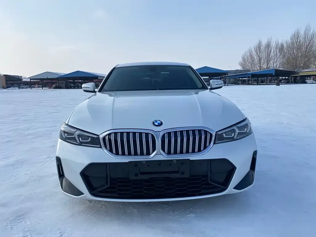 BMW 3 Series 2023 из CN, фото 2