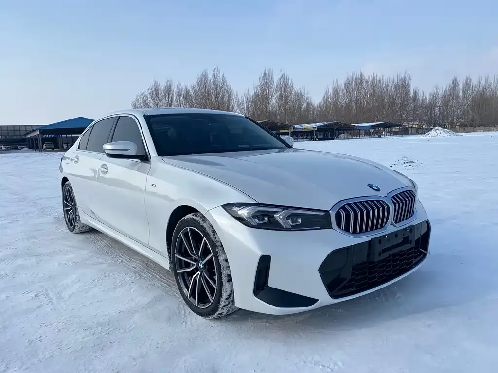 BMW 3 Series 2023 из CN, фото 6