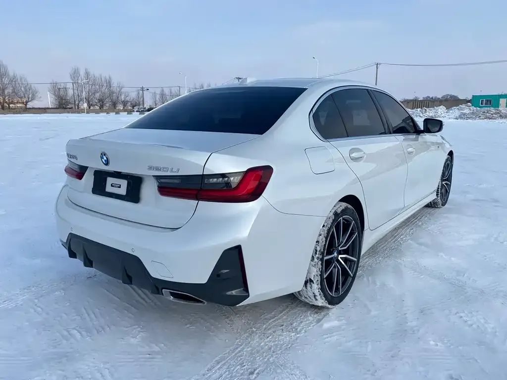 BMW 3 Series 2023 из CN, фото 10