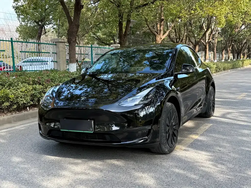 Tesla Model Y 2023 из CN, фото 1