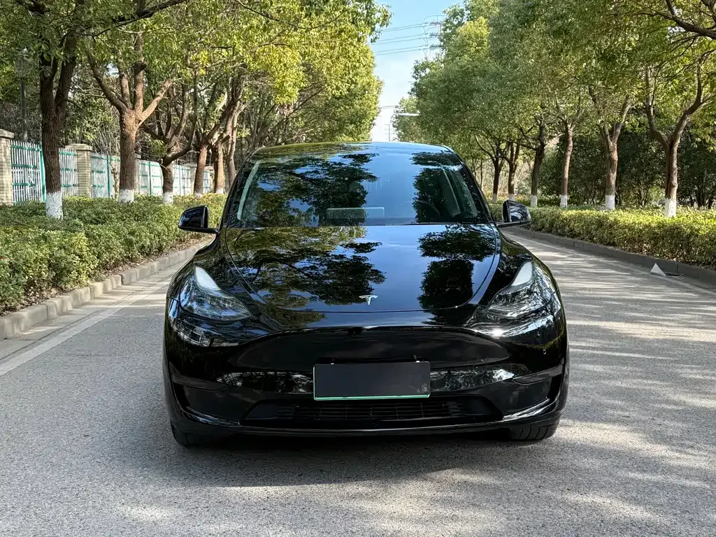 Tesla Model Y 2023 из CN, фото 8