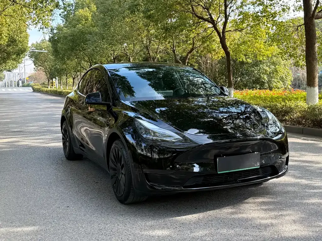 Tesla Model Y 2023 из CN, фото 7