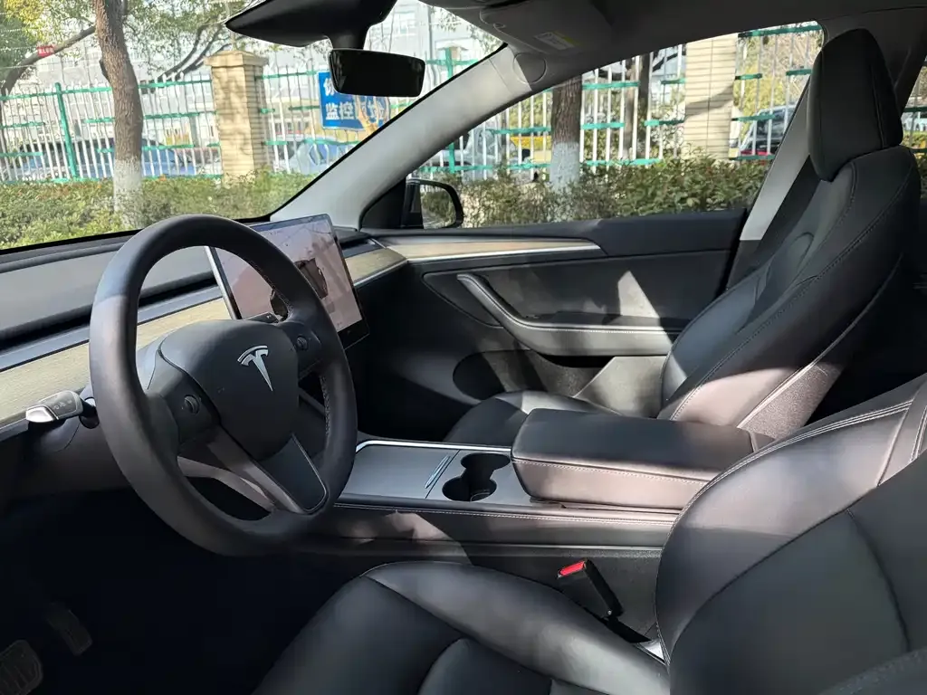 Tesla Model Y 2023 из CN, фото 3