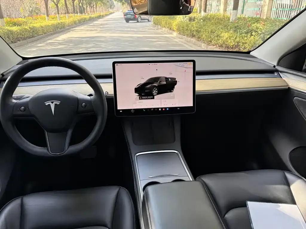 Tesla Model Y 2023 из CN, фото 4