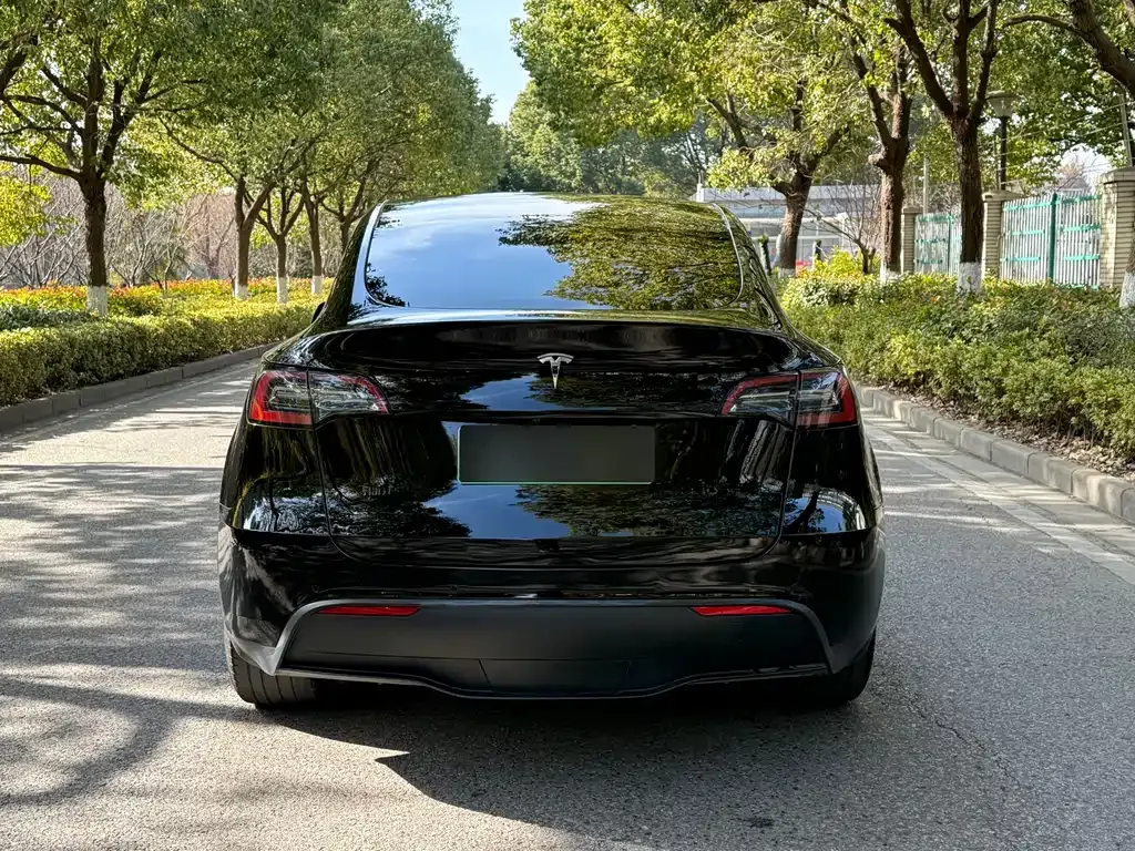 Tesla Model Y 2023 из CN, фото 6