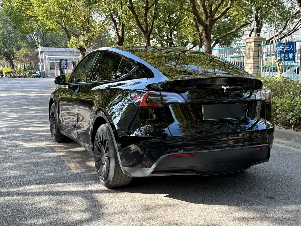 Tesla Model Y 2023 из CN, фото 5