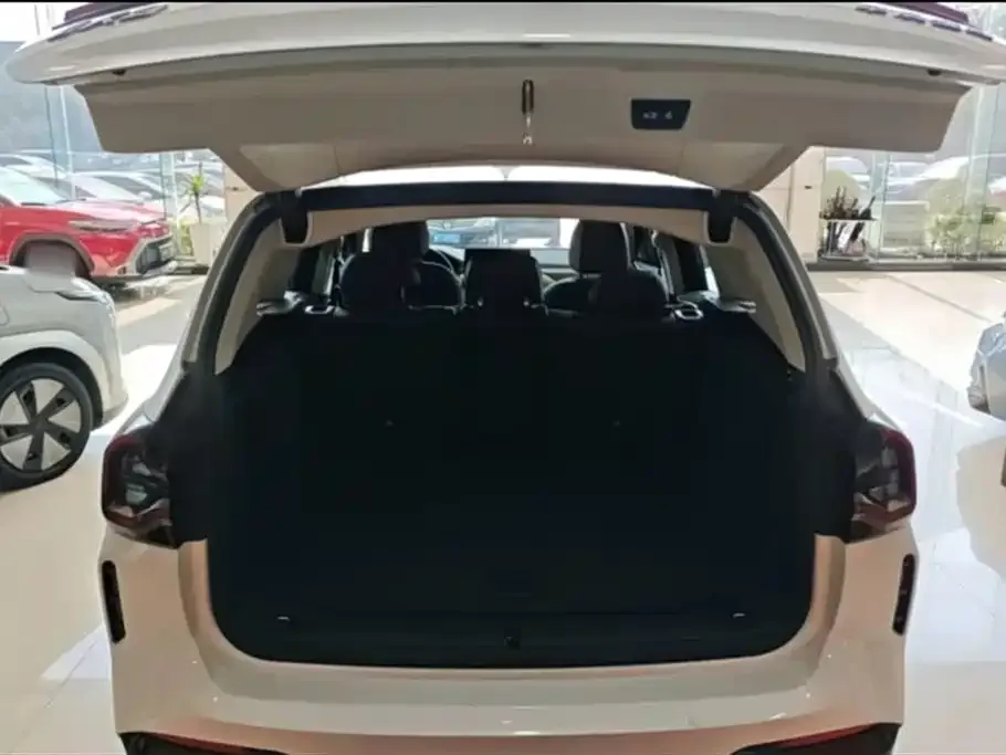BMW iX3 2021 из CN, фото 2