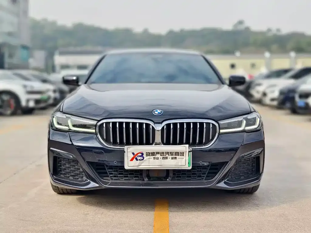 BMW 5 Series New Energy 2023 из CN, фото 6