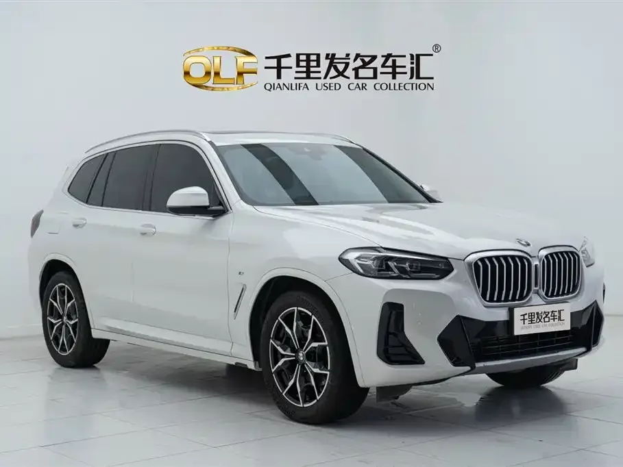BMW X3 2023 из CN, фото 6