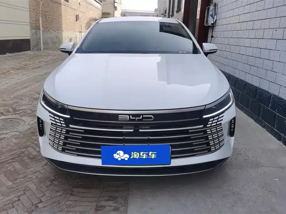 BYD Destroyer 05 2024 из CN, фото 10
