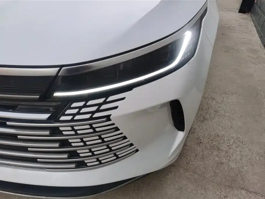 BYD Destroyer 05 2024 из CN, фото 4