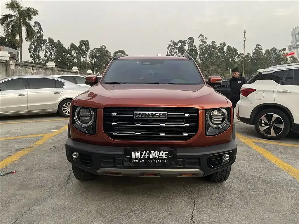 Haval Big Dog 2021 из CN, фото 4