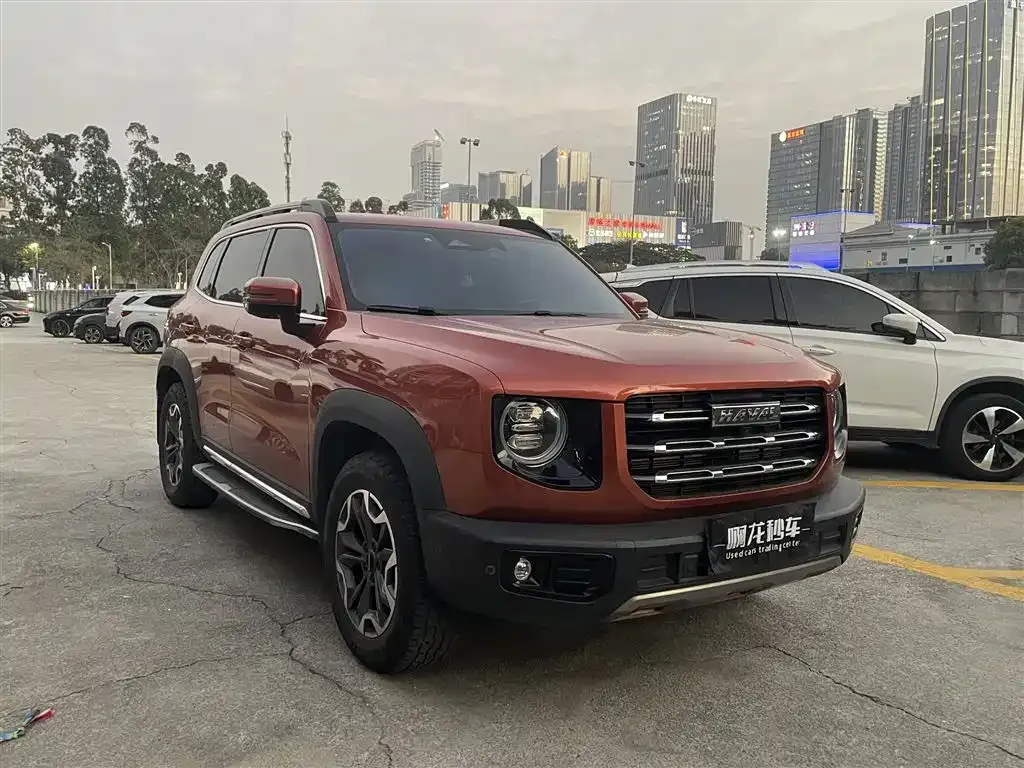 Haval Big Dog 2021 из CN, фото 7