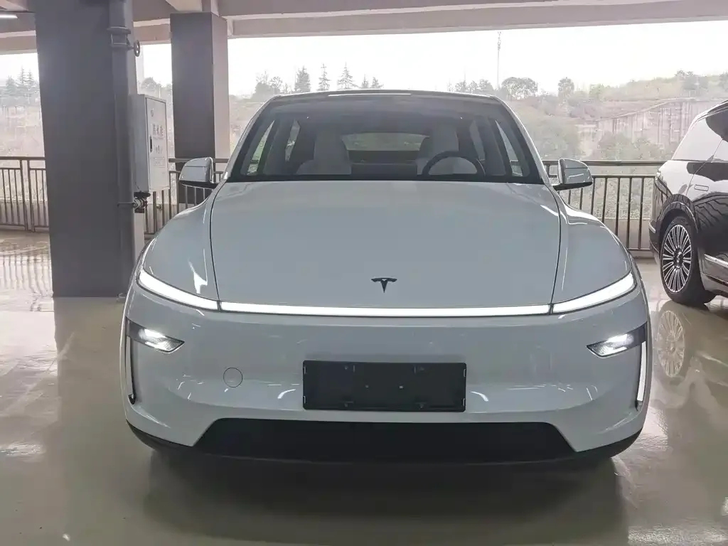 Tesla Model Y 2025 из CN, фото 4