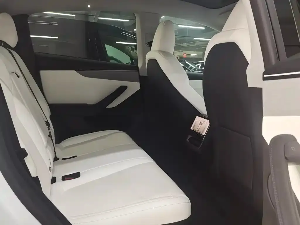 Tesla Model Y 2025 из CN, фото 2