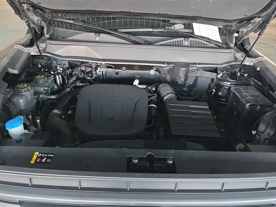 Haval Menglong New Energy 2024 из CN, фото 4