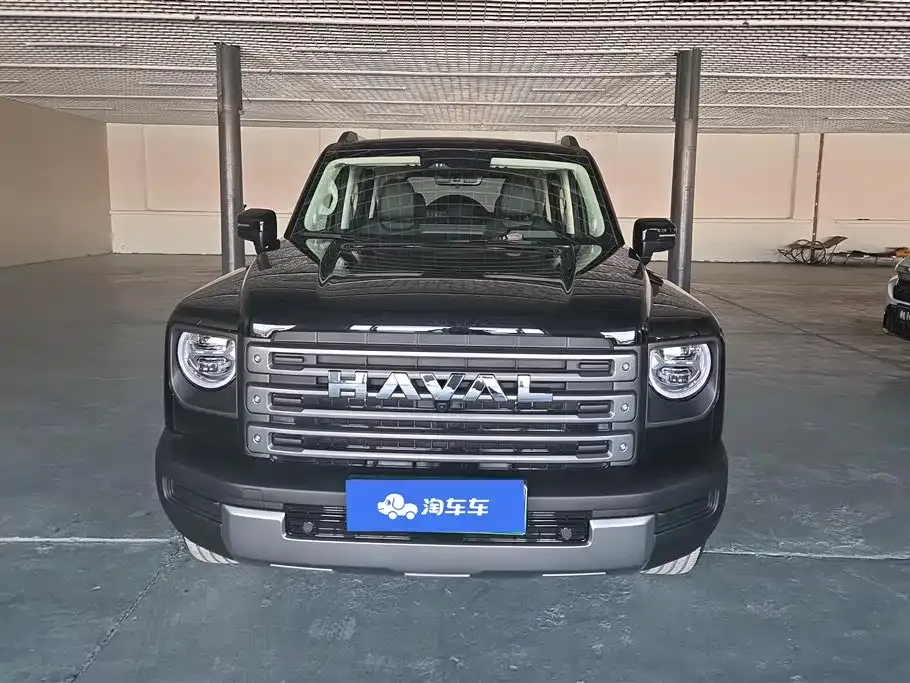 Haval Menglong New Energy 2024 из CN, фото 6