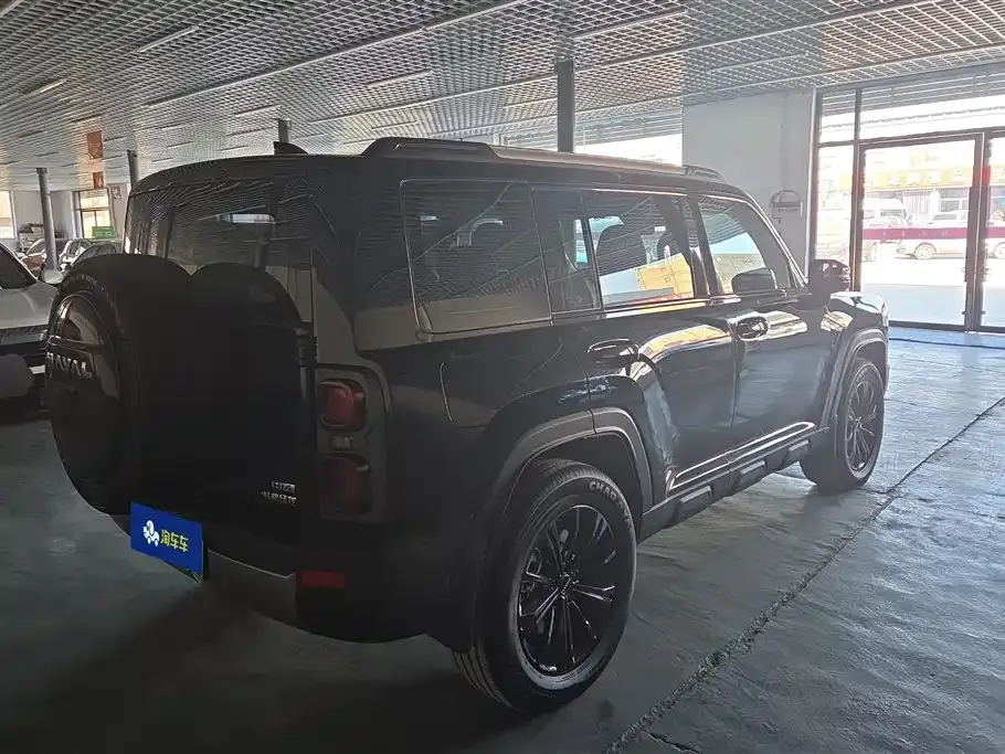 Haval Menglong New Energy 2024 из CN, фото 8