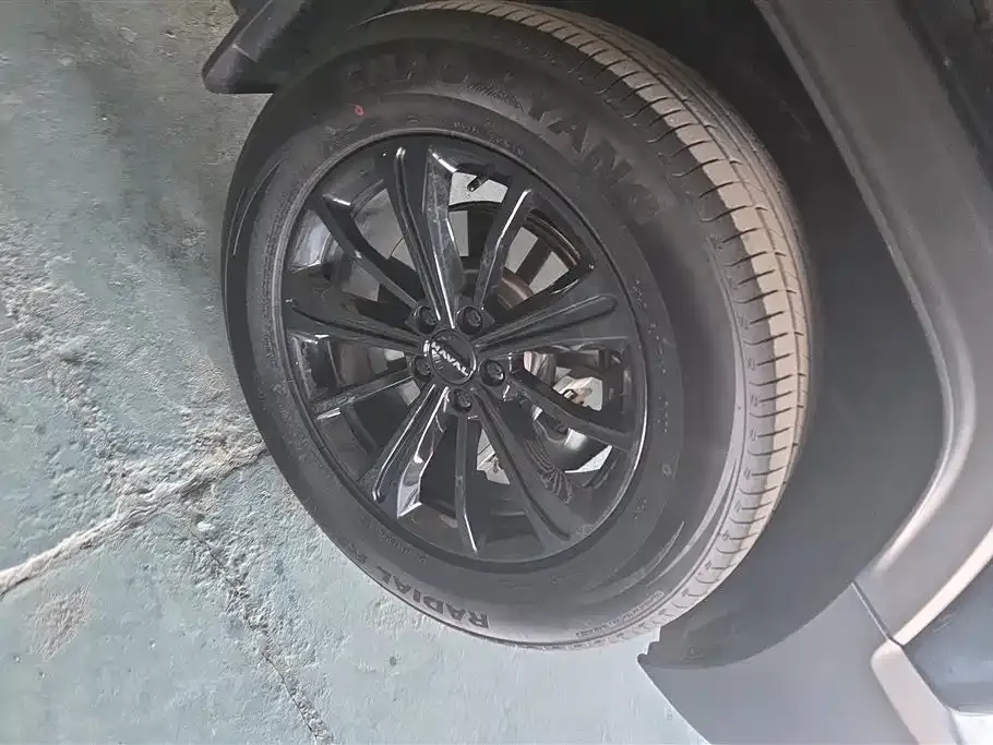 Haval Menglong New Energy 2024 из CN, фото 10