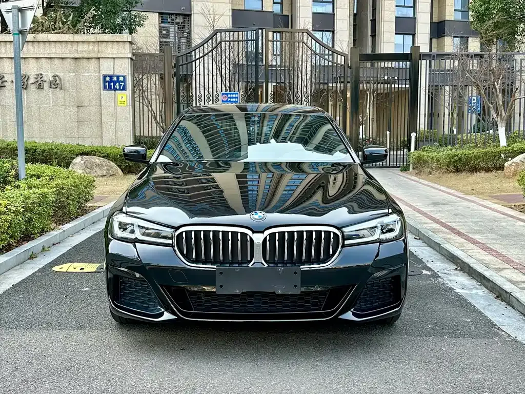 BMW 5 Series 2023 из CN, фото 8
