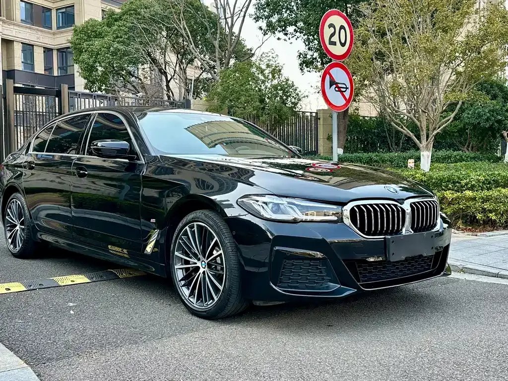 BMW 5 Series 2023 из CN, фото 7