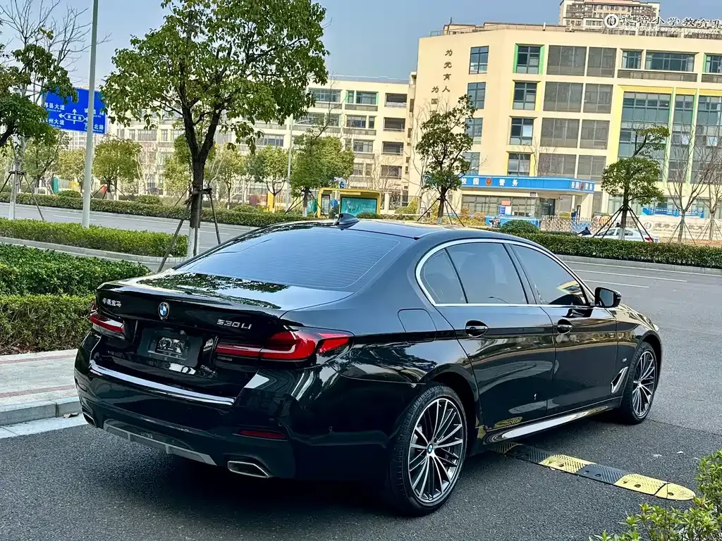 BMW 5 Series 2023 из CN, фото 9