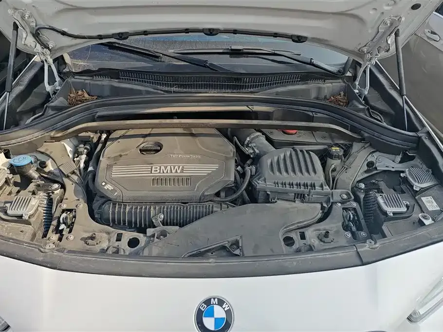 BMW X2 2022 из CN, фото 10