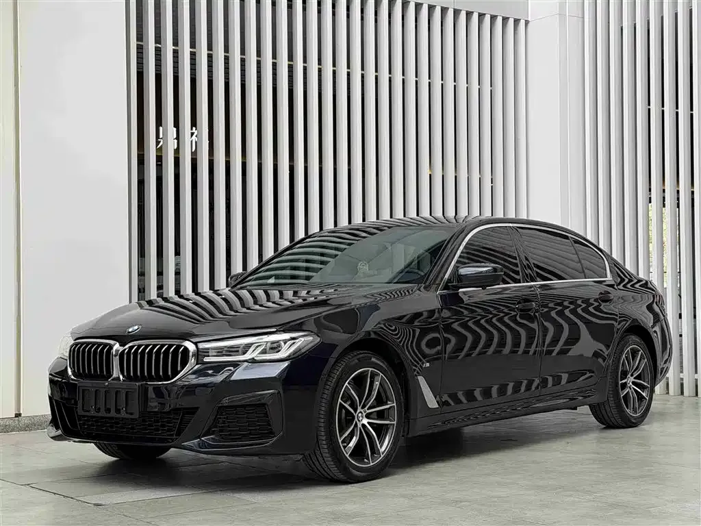 BMW 5 Series 2022 из CN, фото 1