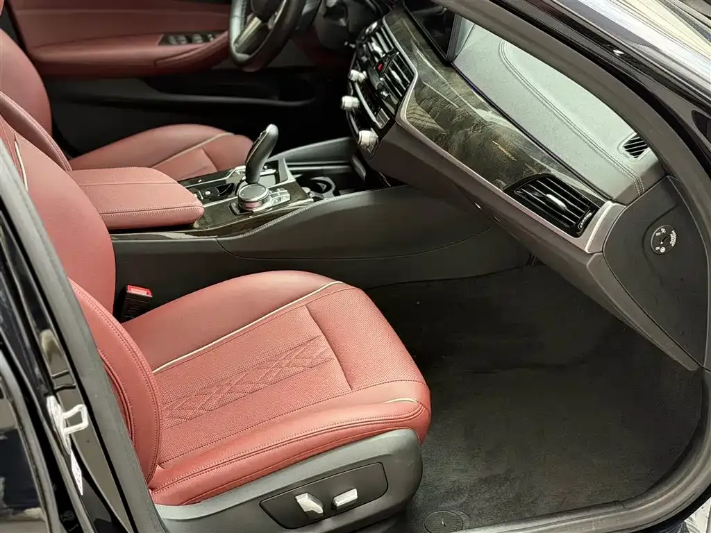 BMW 5 Series 2022 из CN, фото 7