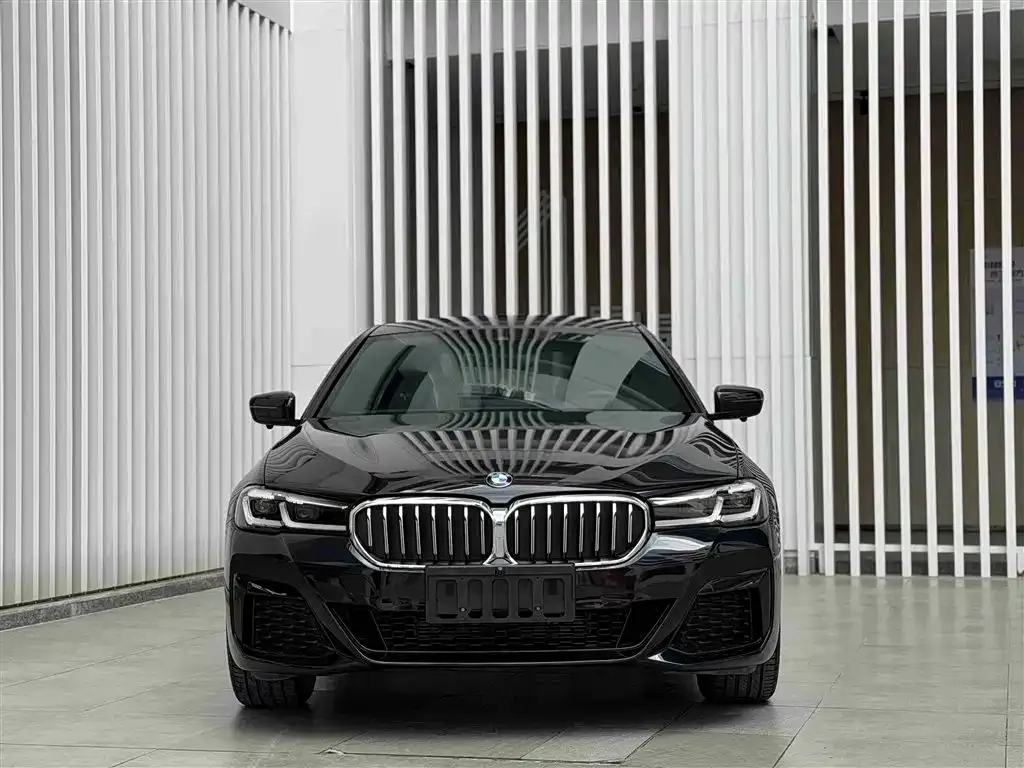 BMW 5 Series 2022 из CN, фото 3