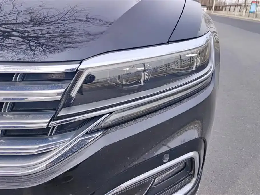 Volkswagen Phideon 2021 из CN, фото 3