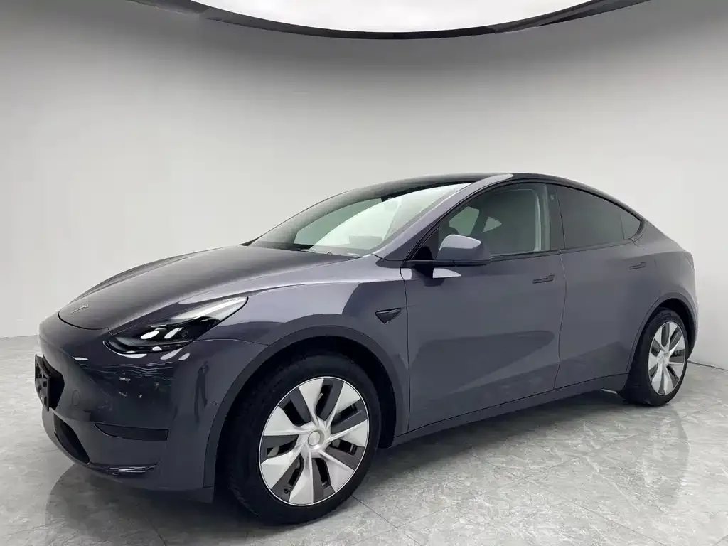 Tesla Model Y 2021 из CN, фото 1