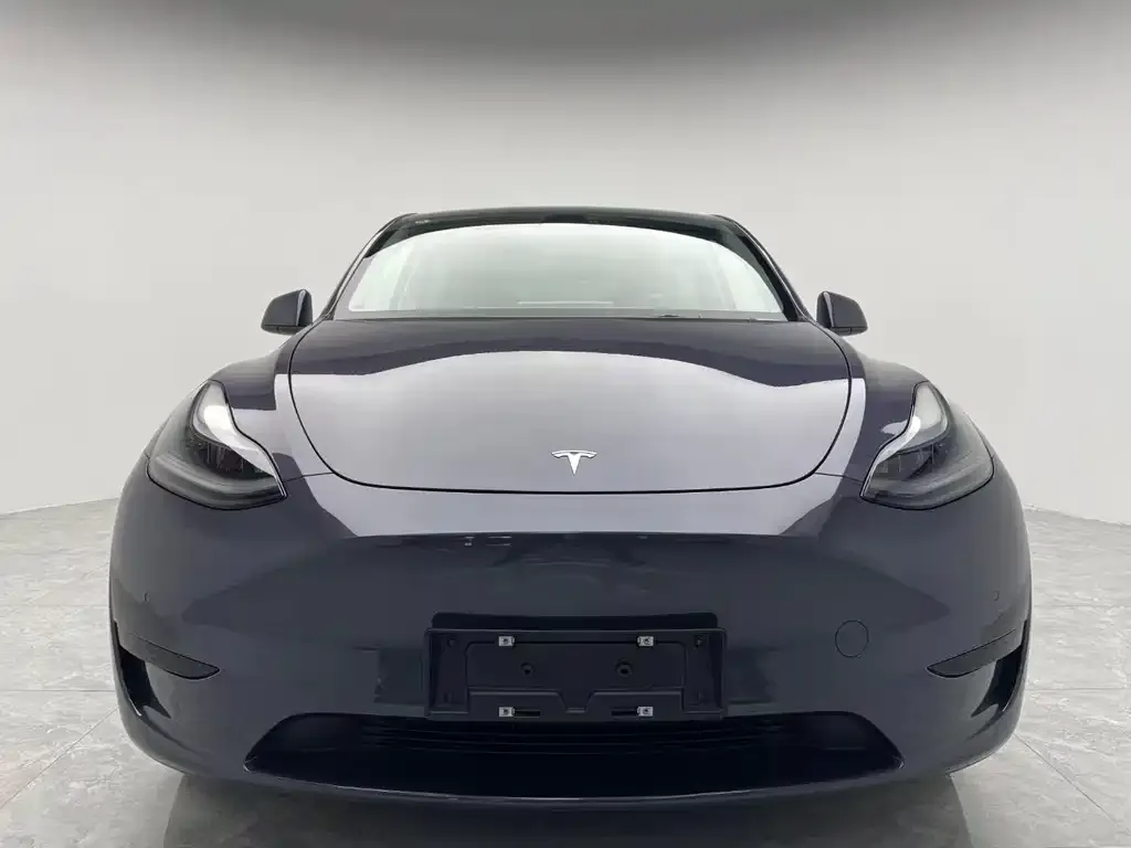 Tesla Model Y 2021 из CN, фото 6