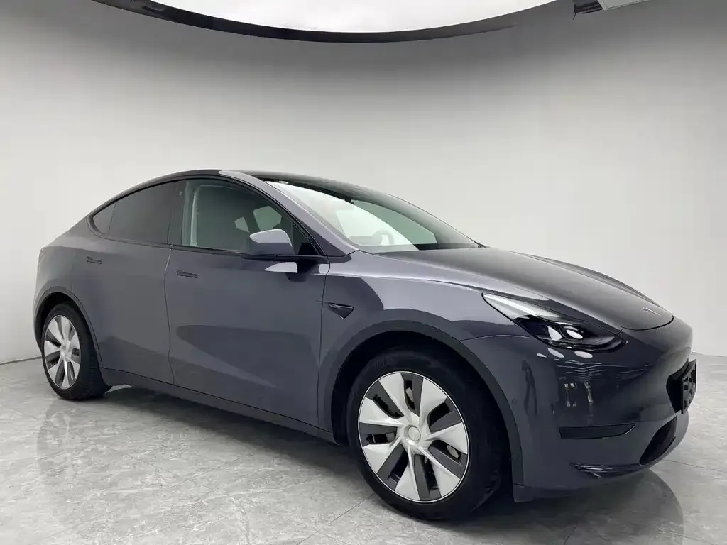 Tesla Model Y 2021 из CN, фото 5