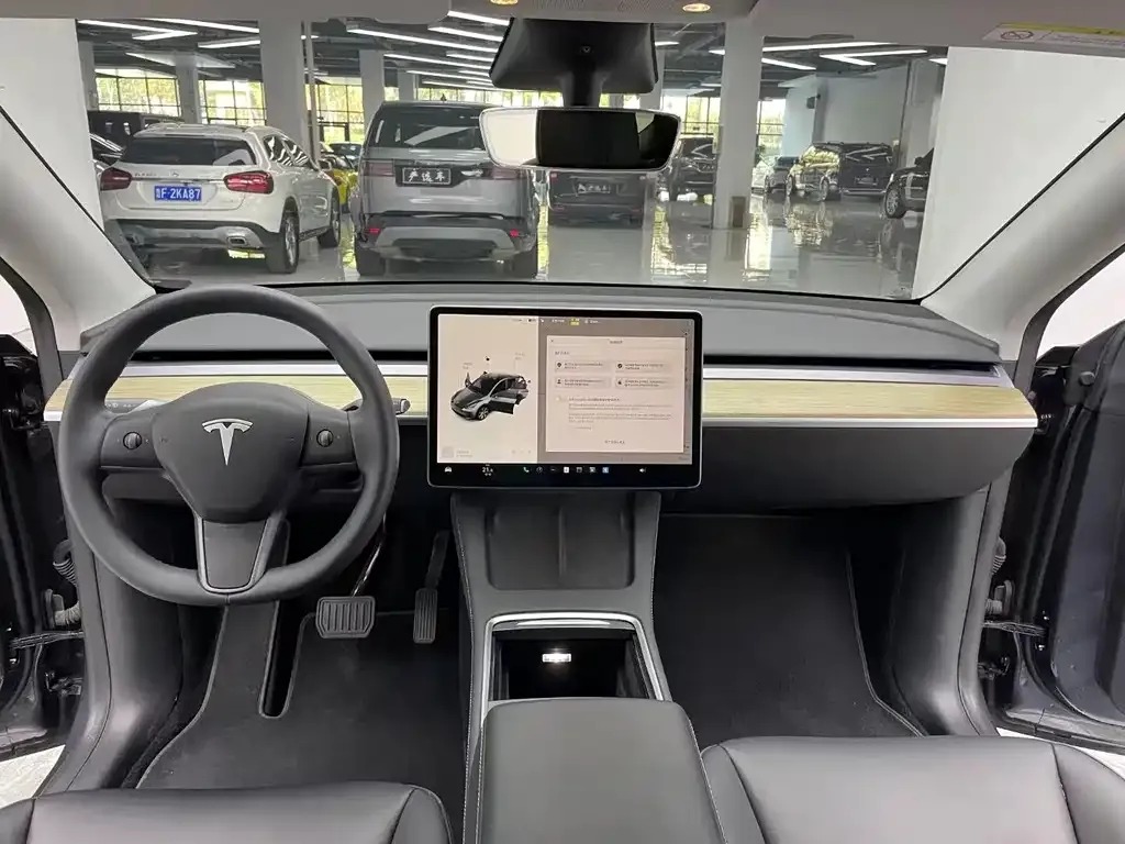 Tesla Model Y 2021 из CN, фото 7