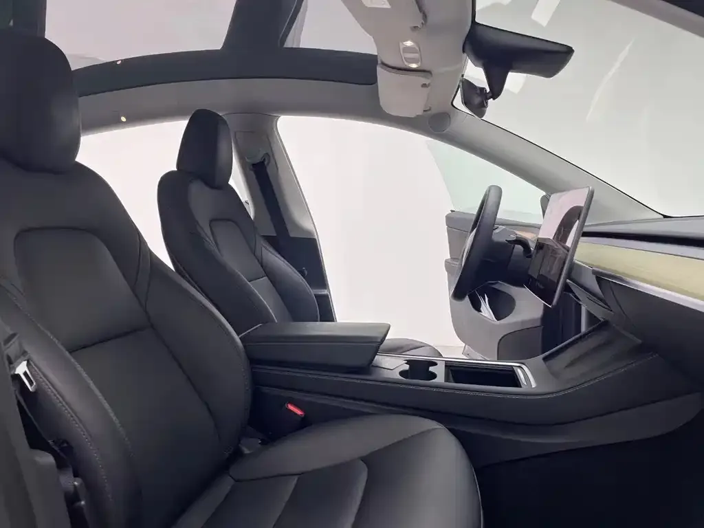 Tesla Model Y 2021 из CN, фото 3