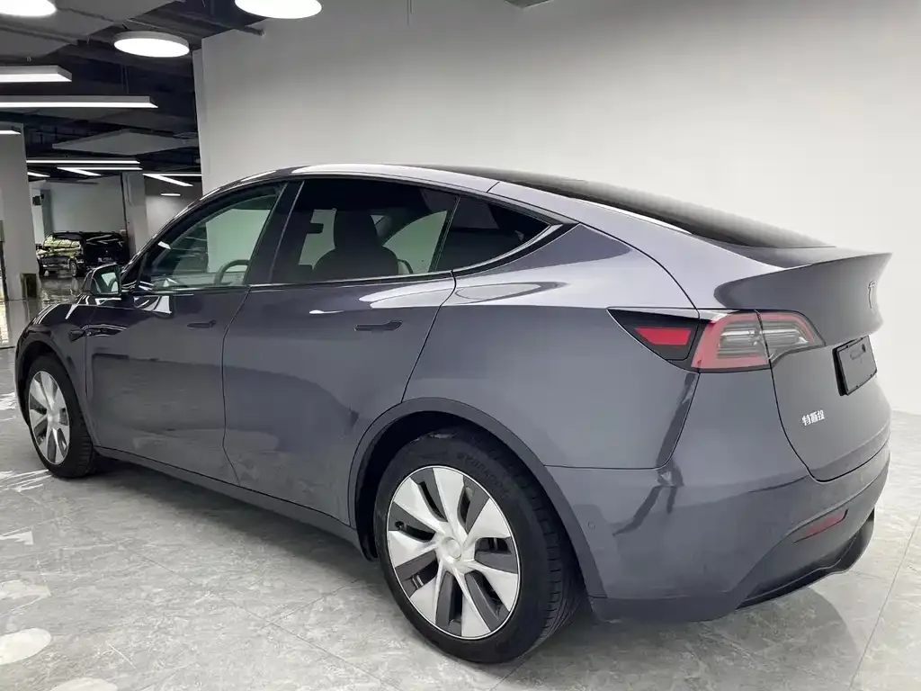 Tesla Model Y 2021 из CN, фото 8
