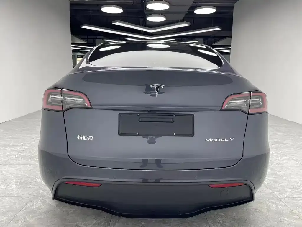 Tesla Model Y 2021 из CN, фото 4