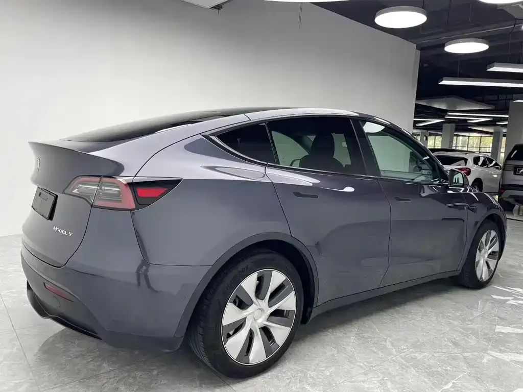 Tesla Model Y 2021 из CN, фото 9