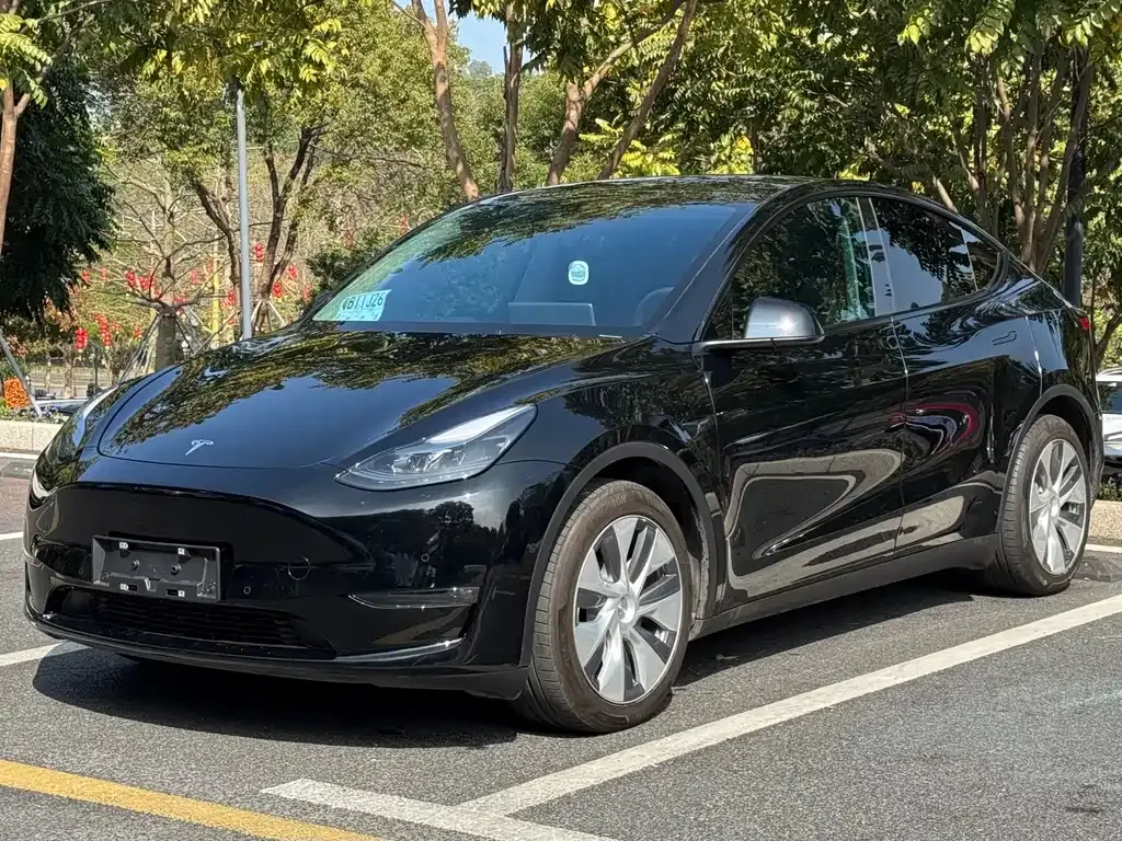 Tesla Model Y 2023 из CN, фото 1