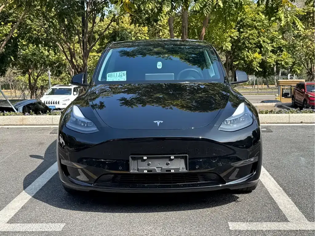 Tesla Model Y 2023 из CN, фото 5